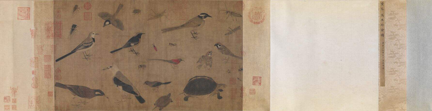 陈水华《形理两全——宋画中的鸟类》中细讲的画封面