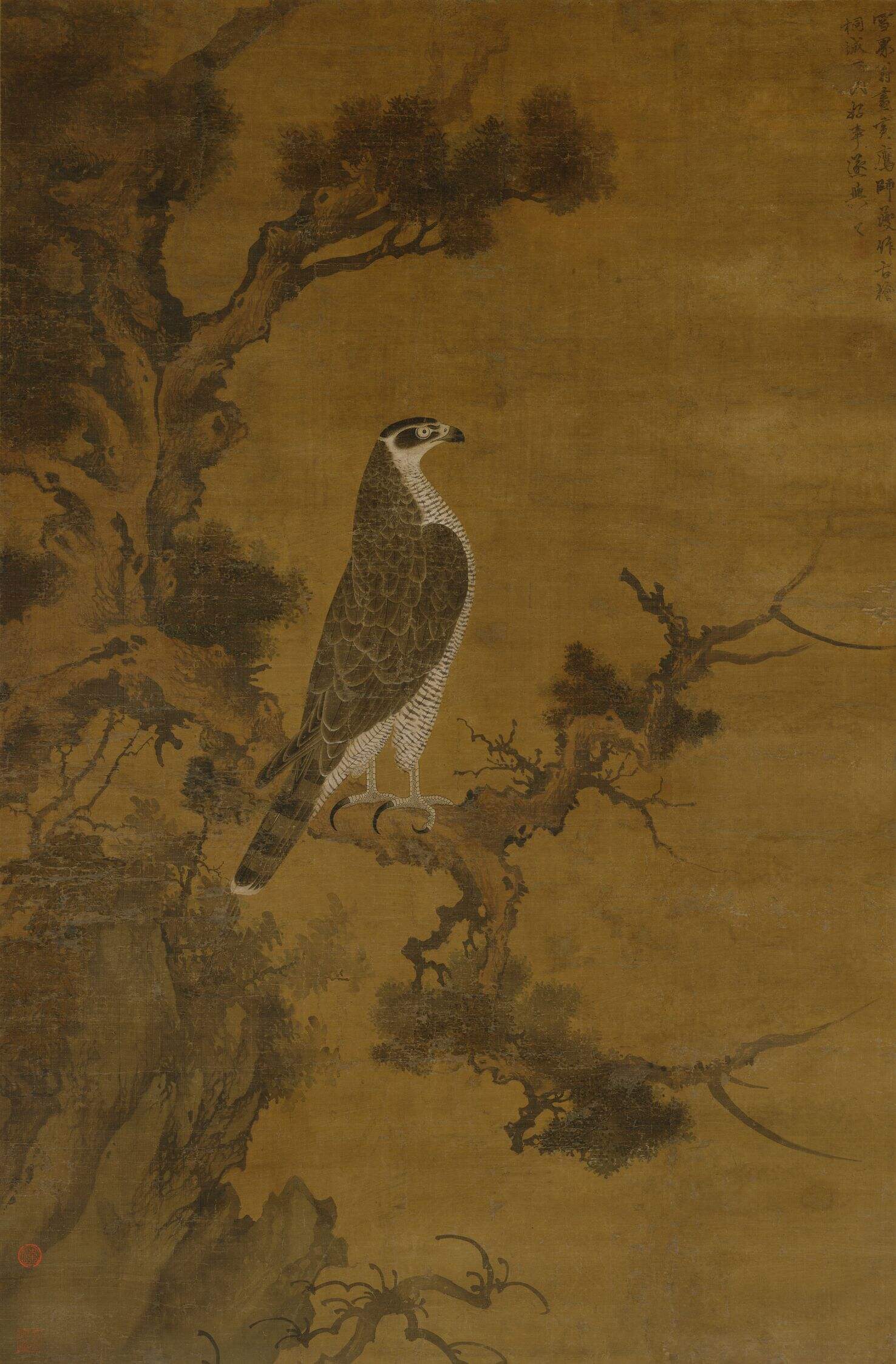 鹰桧图缩略图