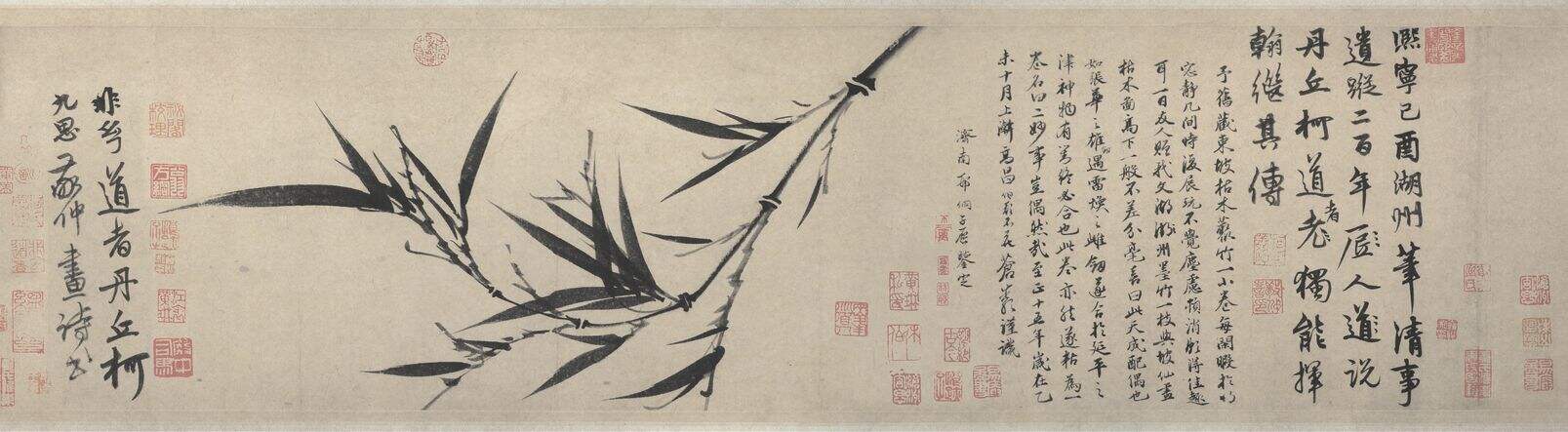 四君子封面