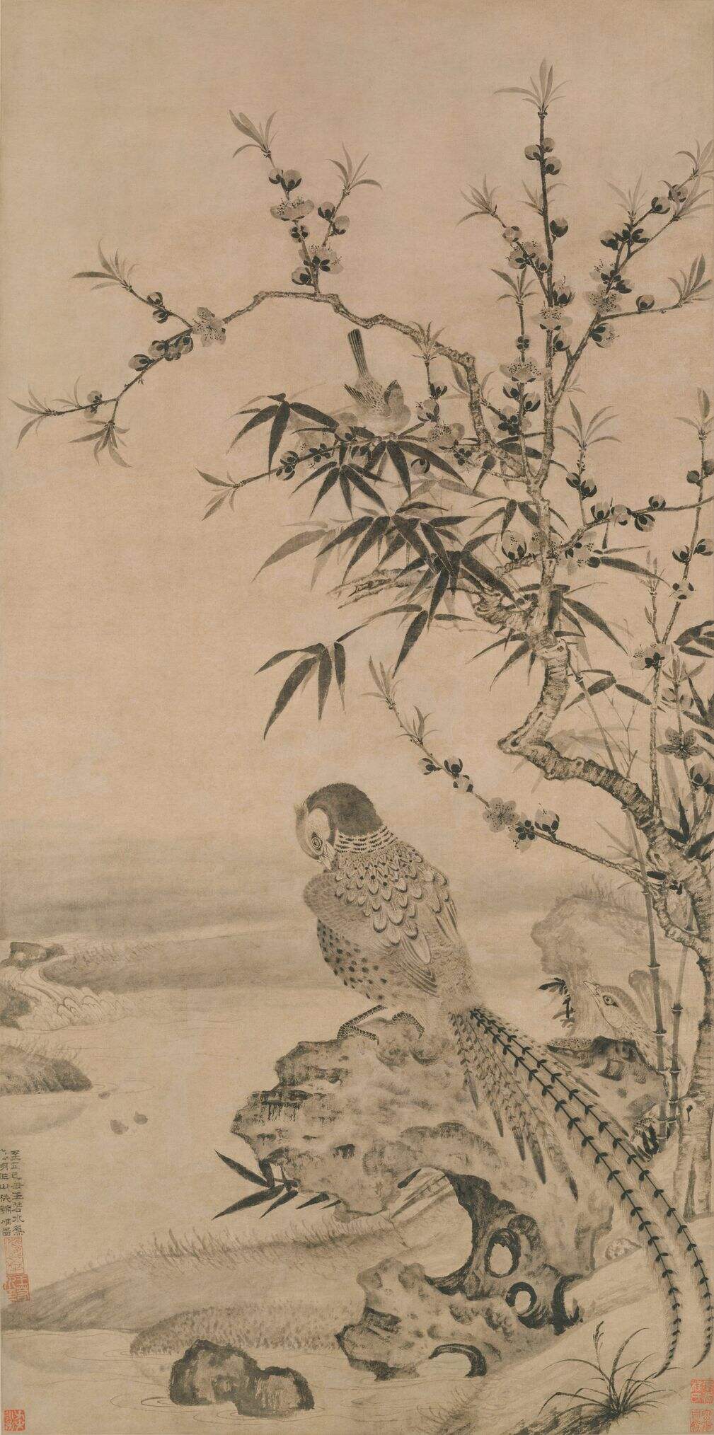 山桃锦雉图缩略图