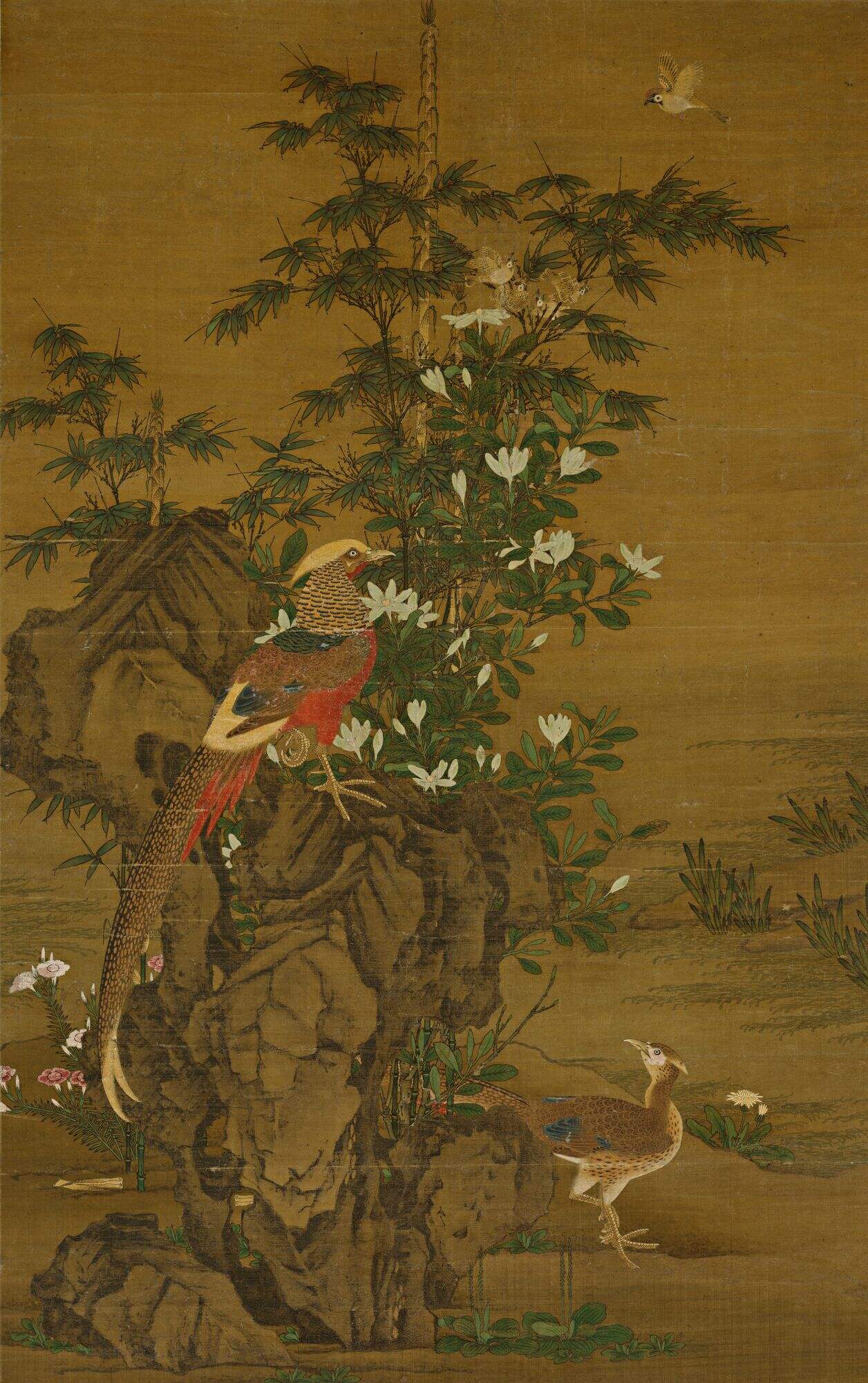 花竹锦鸡图缩略图