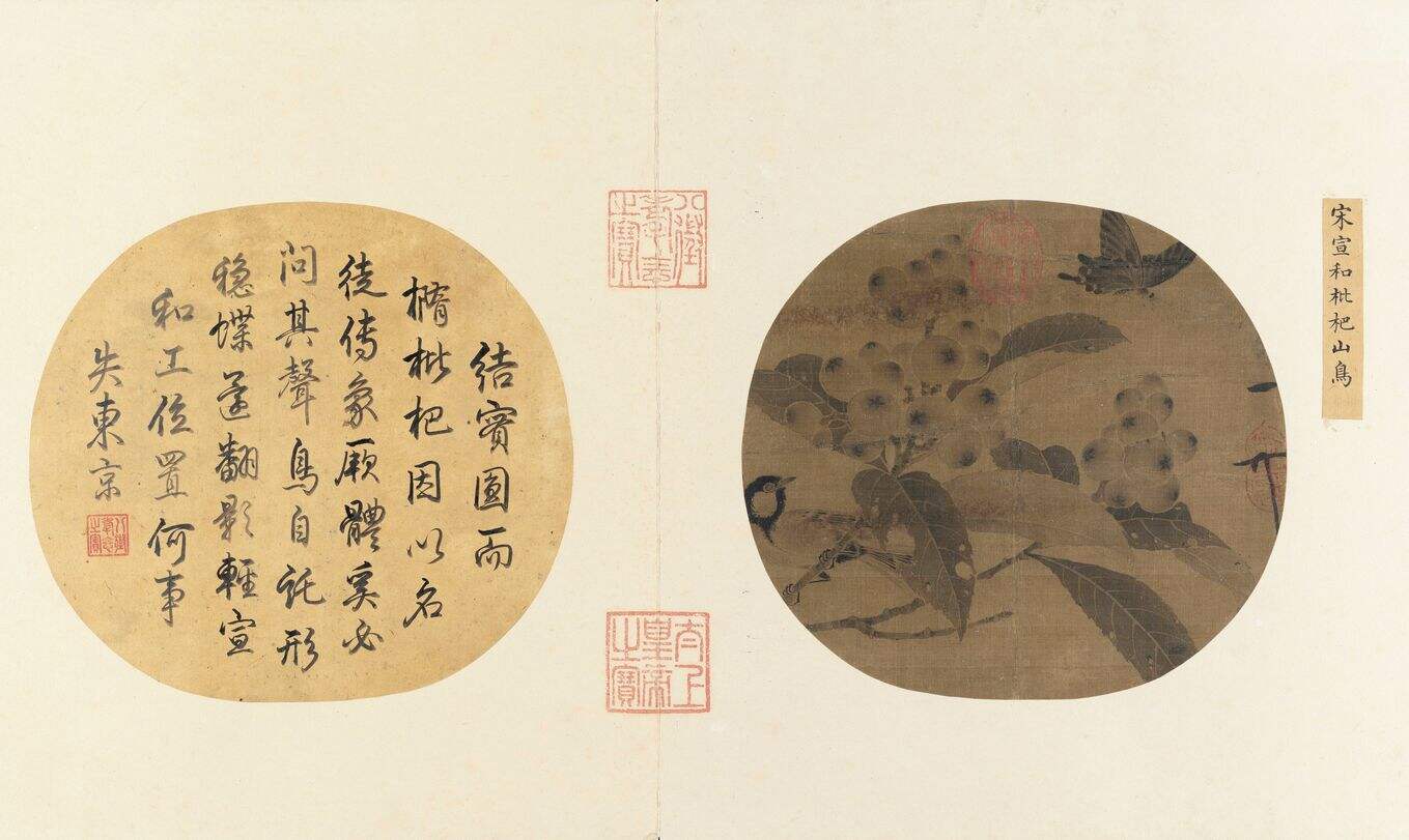 枇杷山鸟图缩略图