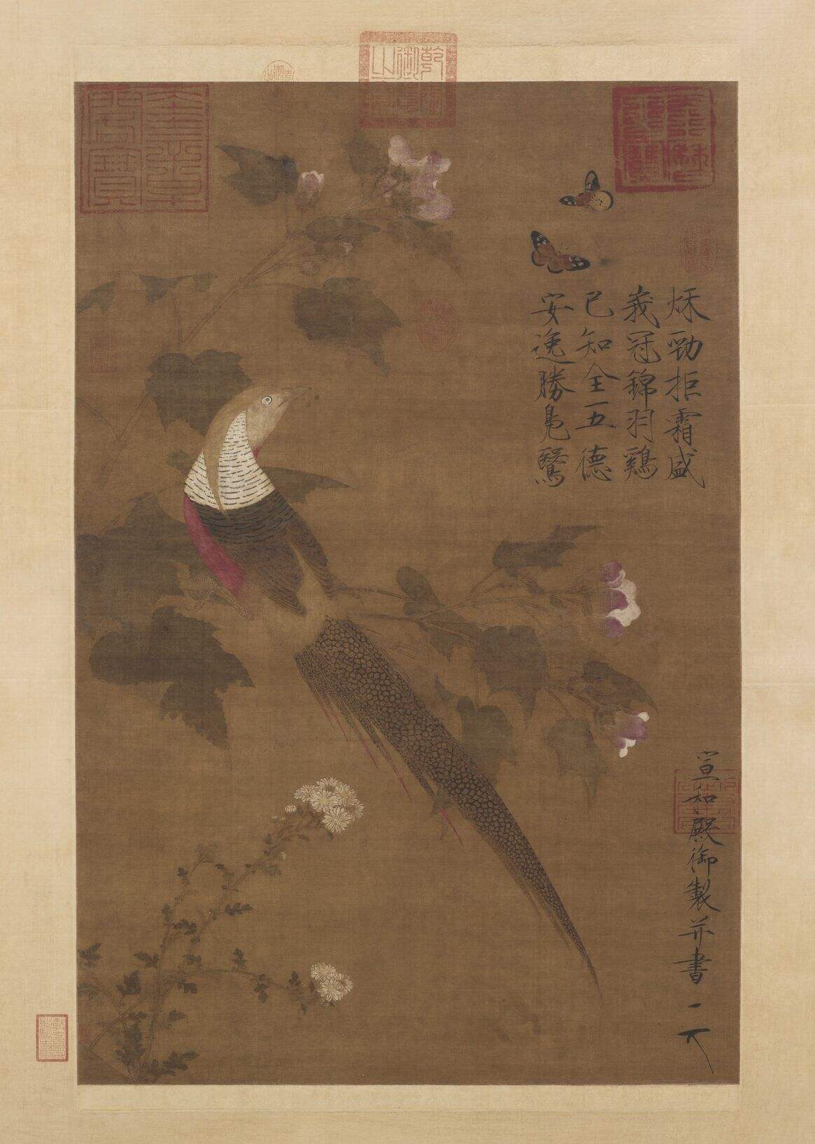 芙蓉锦鸡图缩略图