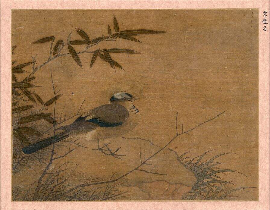 鸟图缩略图