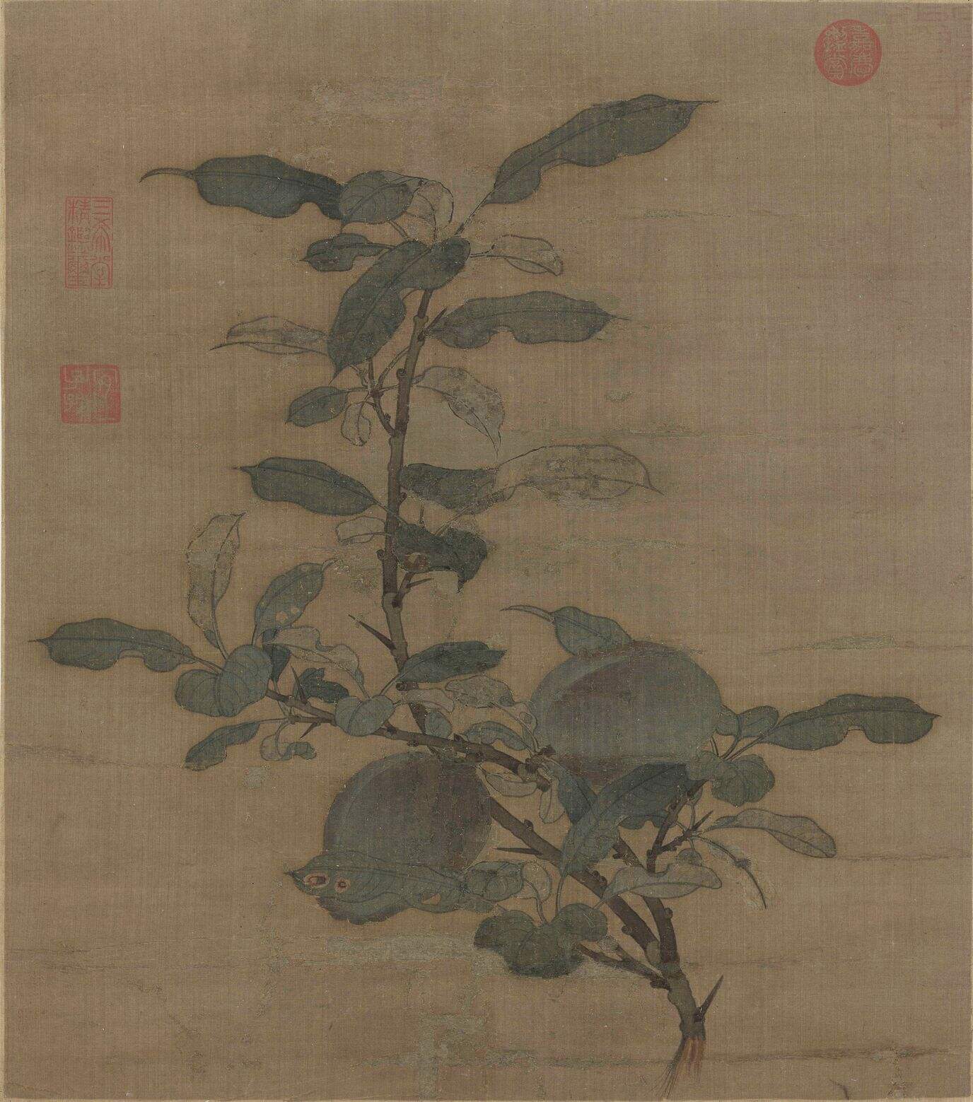 折枝果图缩略图