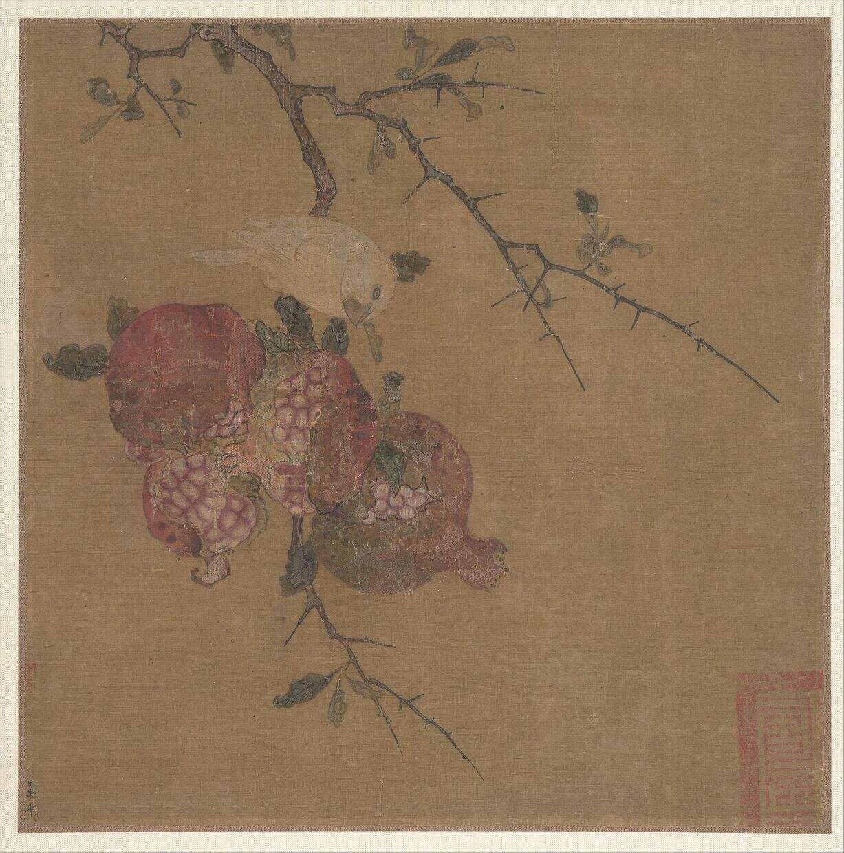 石榴蜡嘴图缩略图