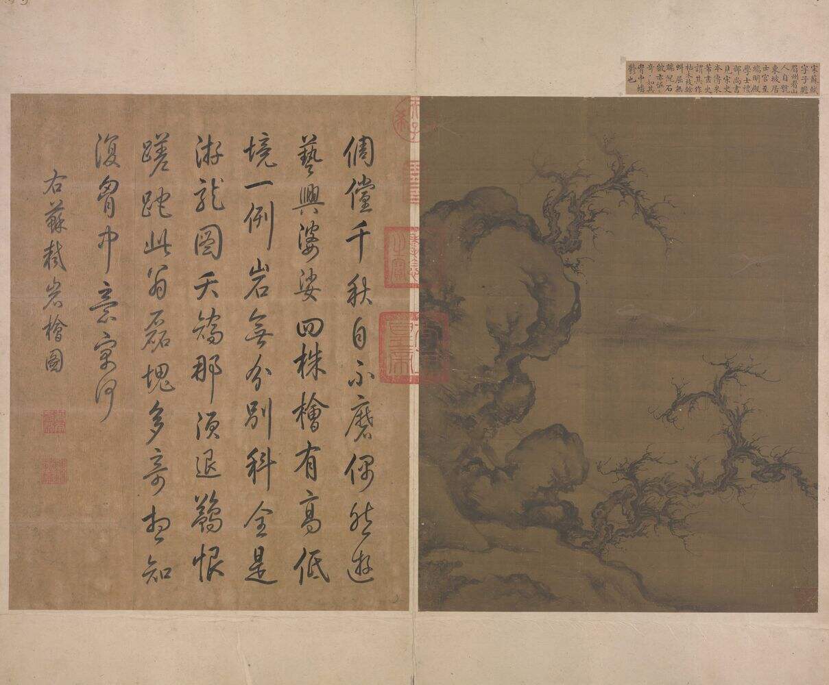 岩桧图缩略图
