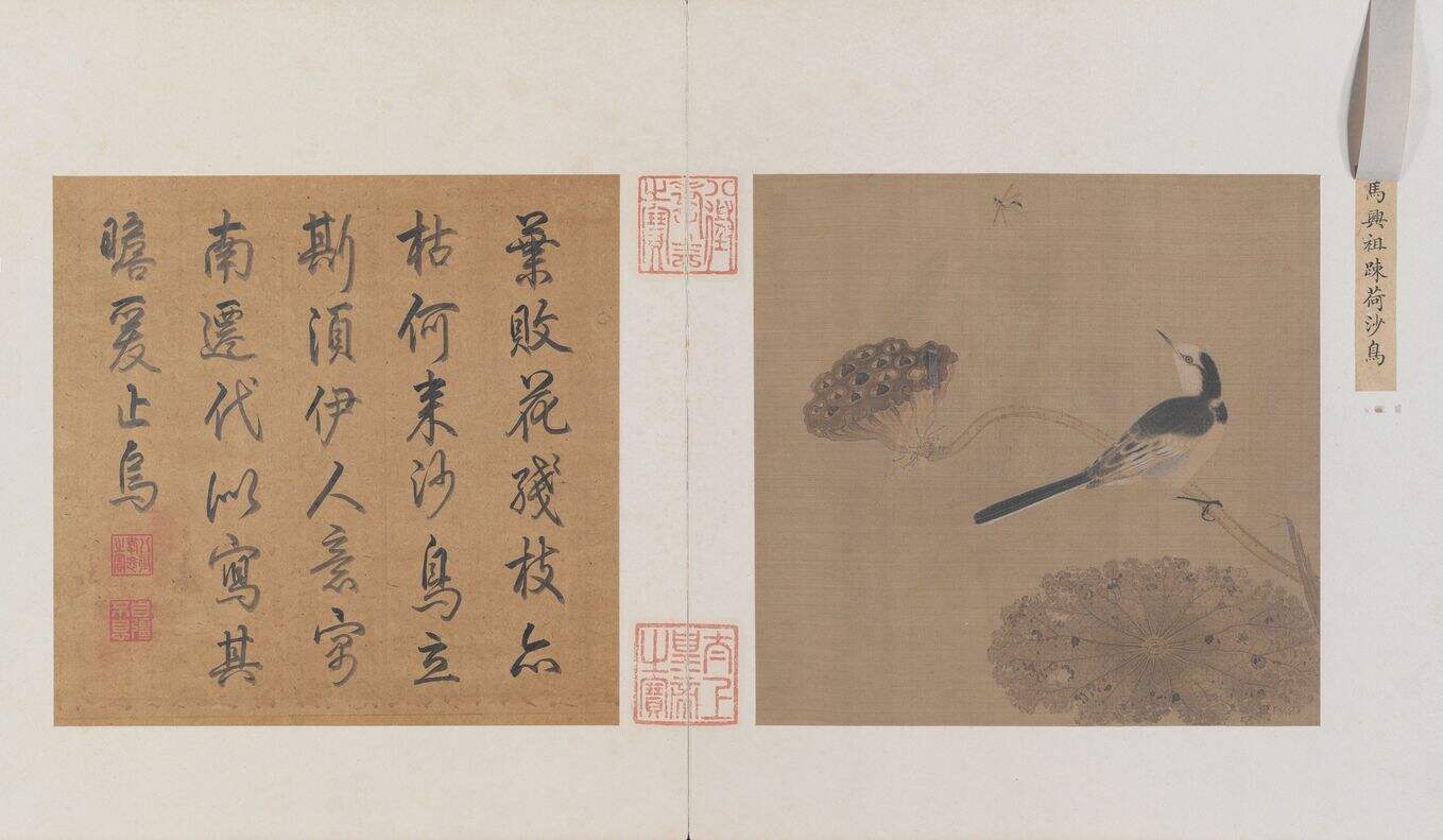 疏荷沙鸟图缩略图
