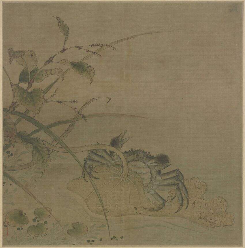 荷蟹图缩略图