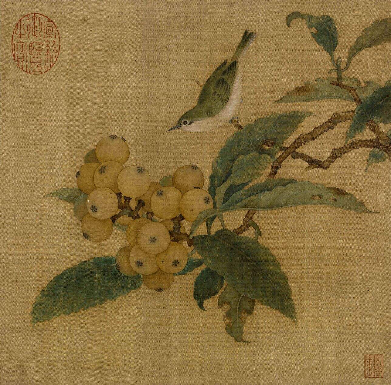 枇杷山鸟图缩略图