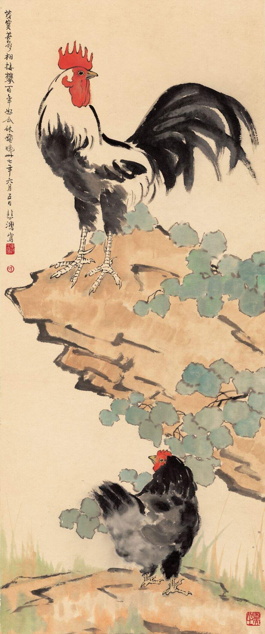 鸡图缩略图