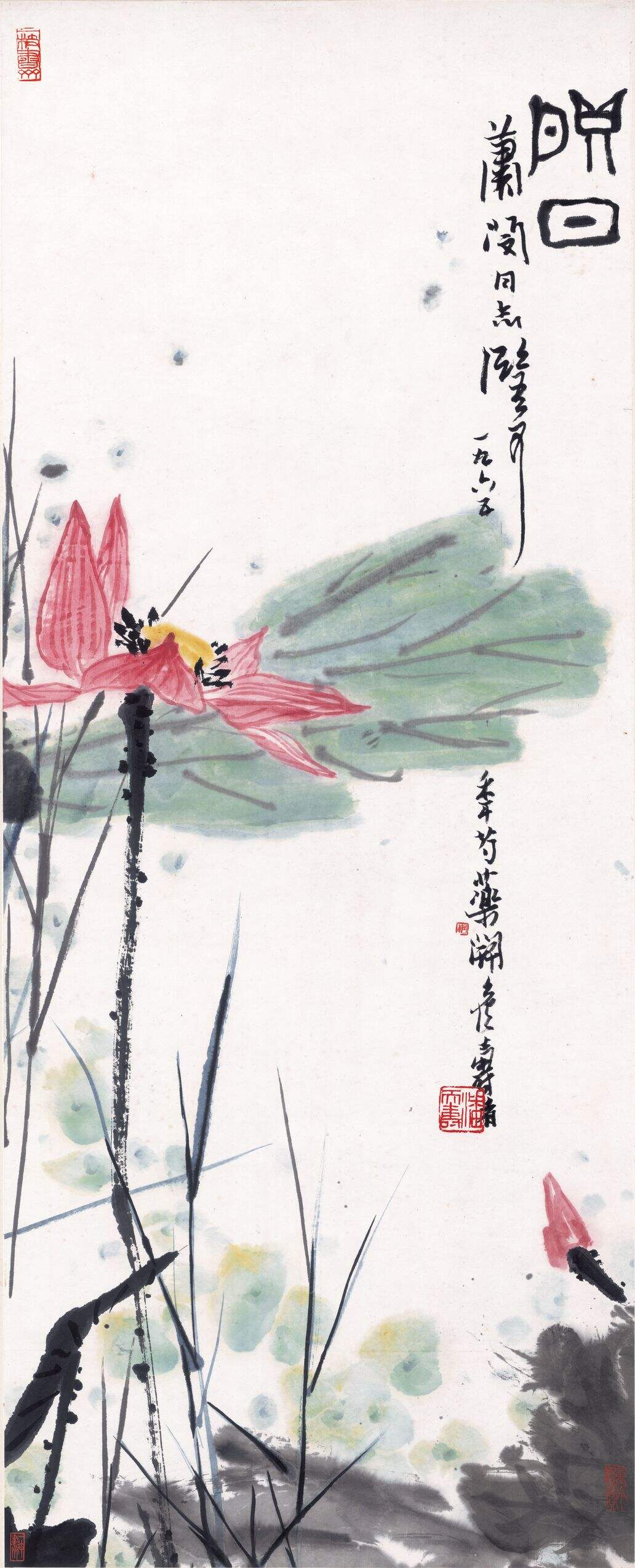 映日缩略图