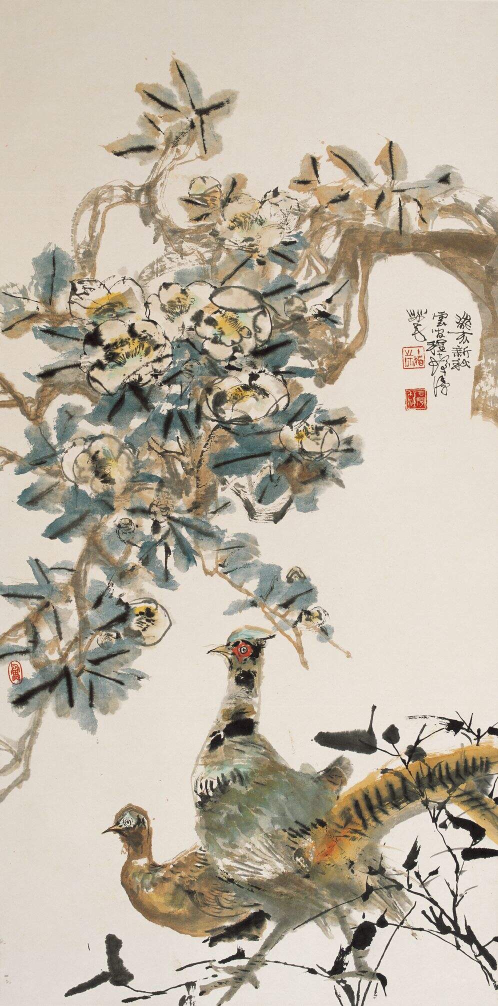 野鸡缩略图