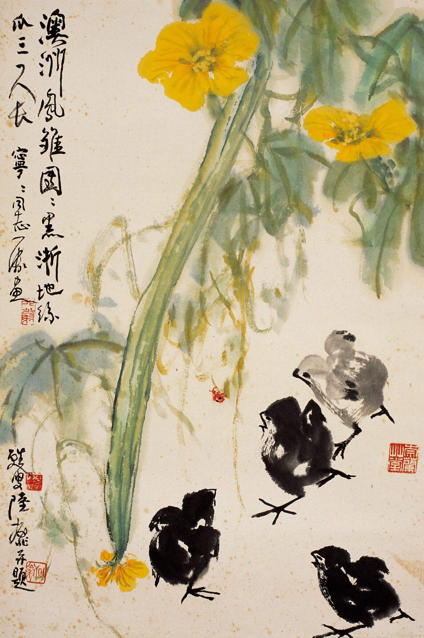 丝瓜小鸡缩略图