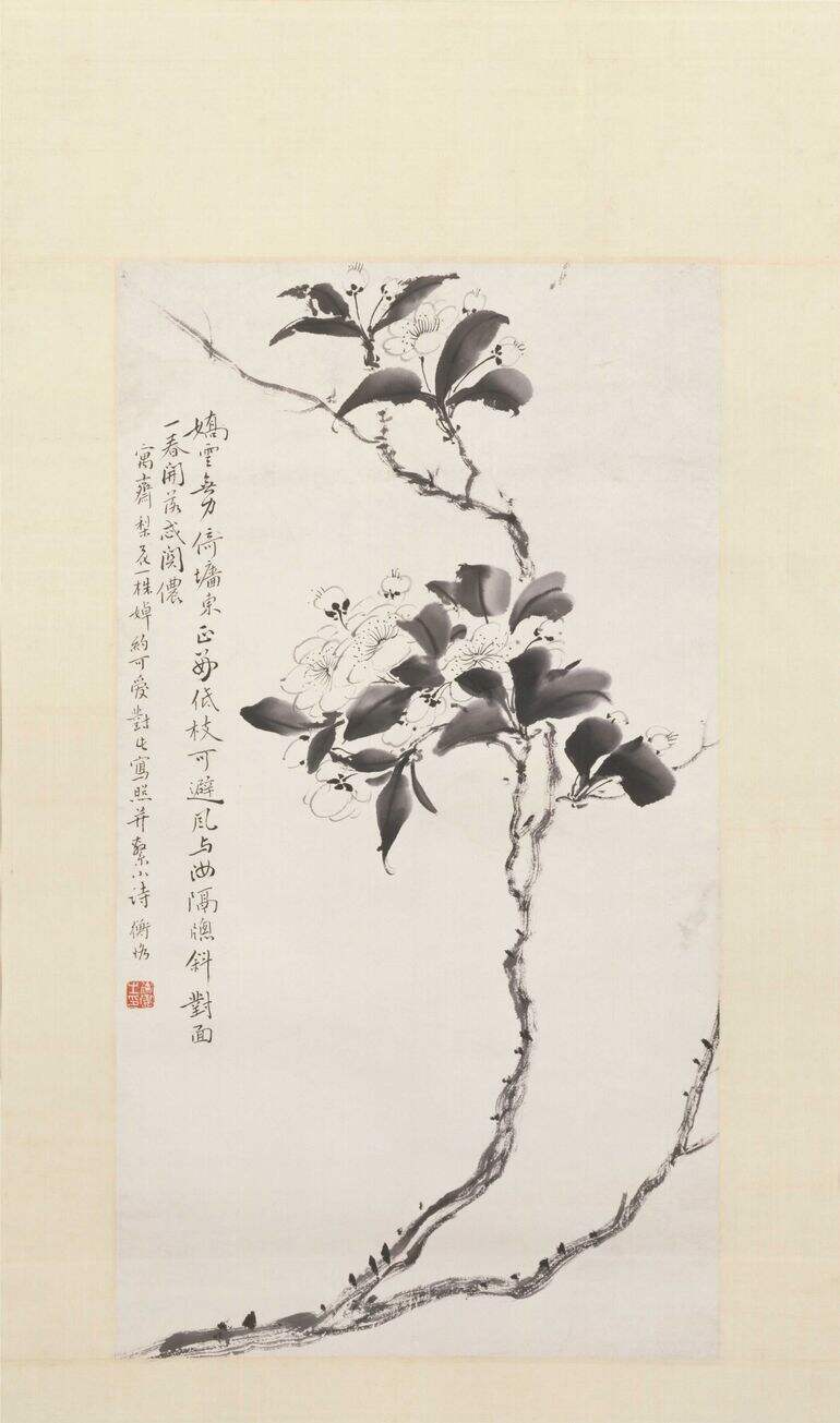 梨花图缩略图