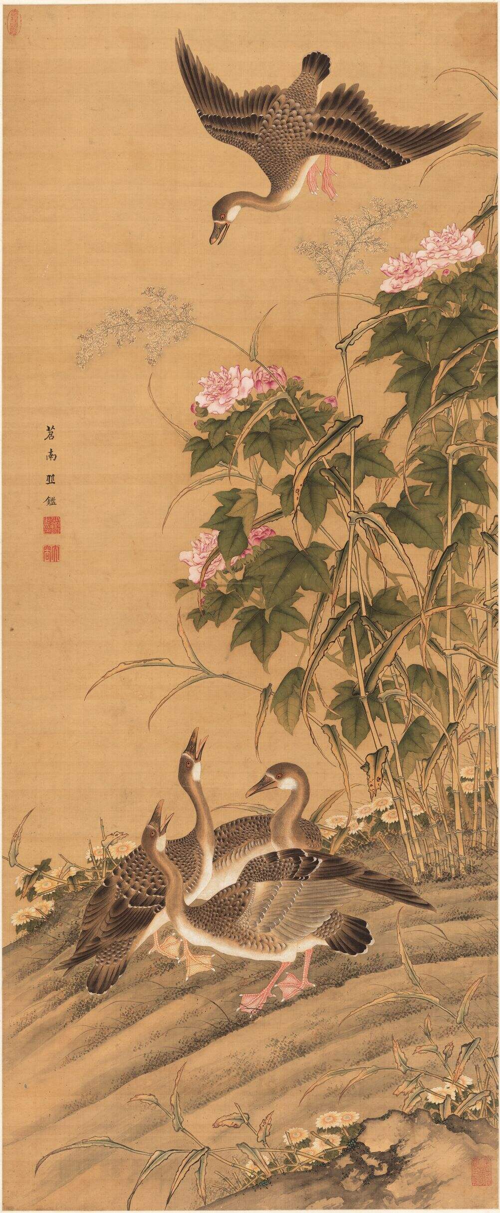 芙蓉芦雁图缩略图