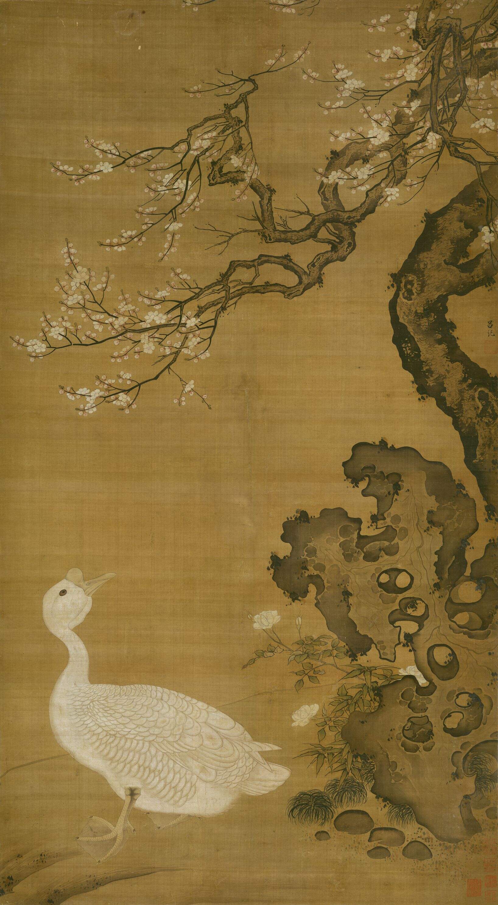 狮头鹅图缩略图