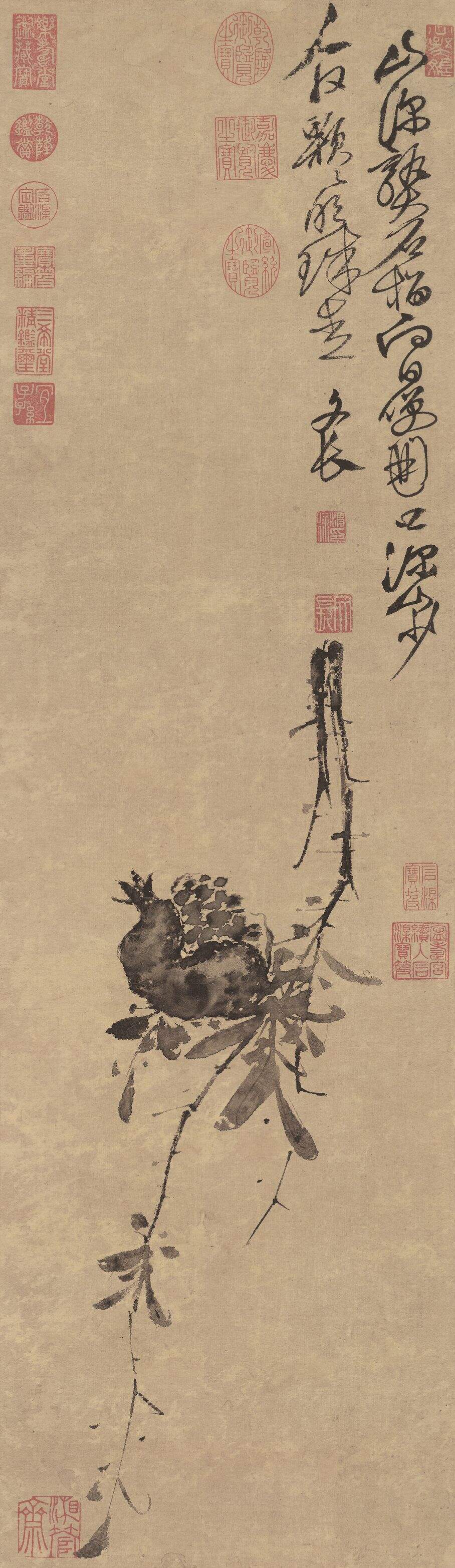 榴实图缩略图