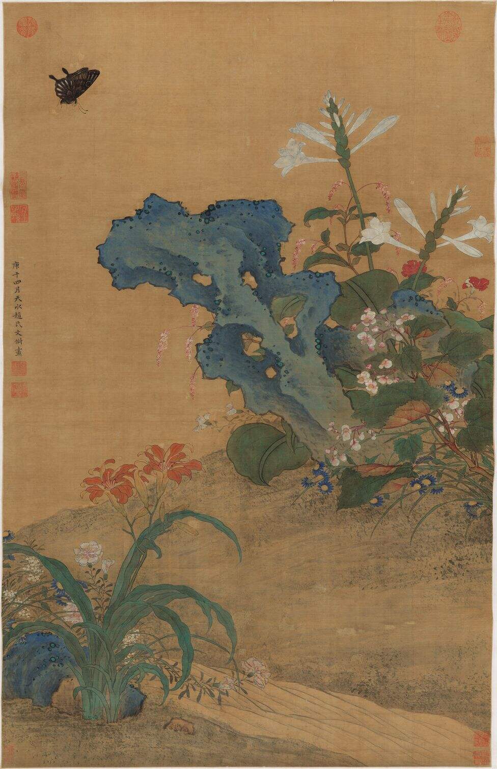 秋花蛱蝶图缩略图