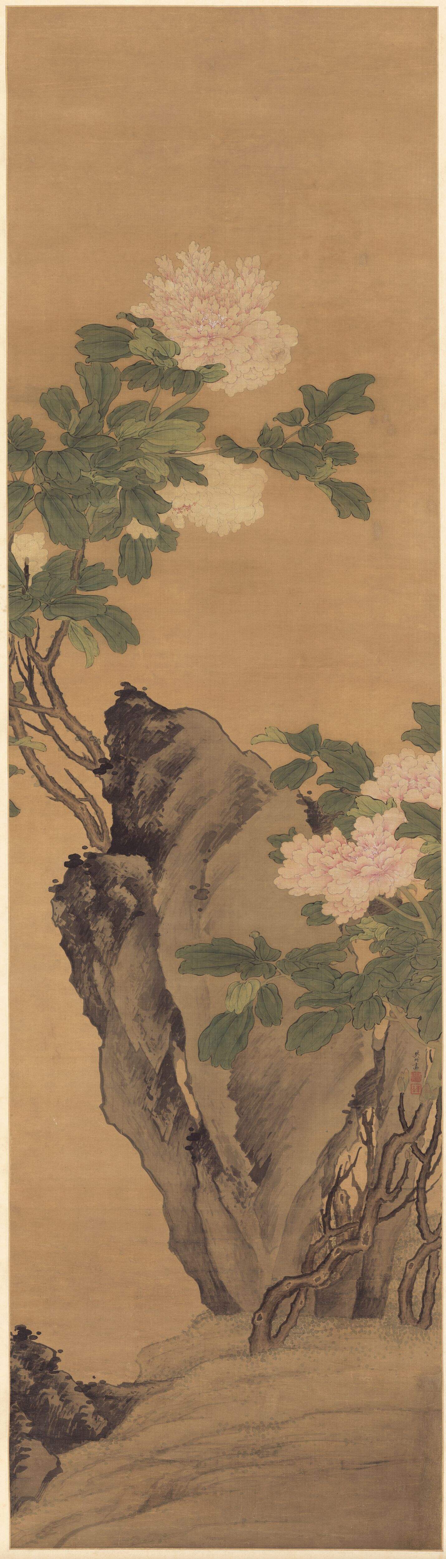 牡丹图缩略图