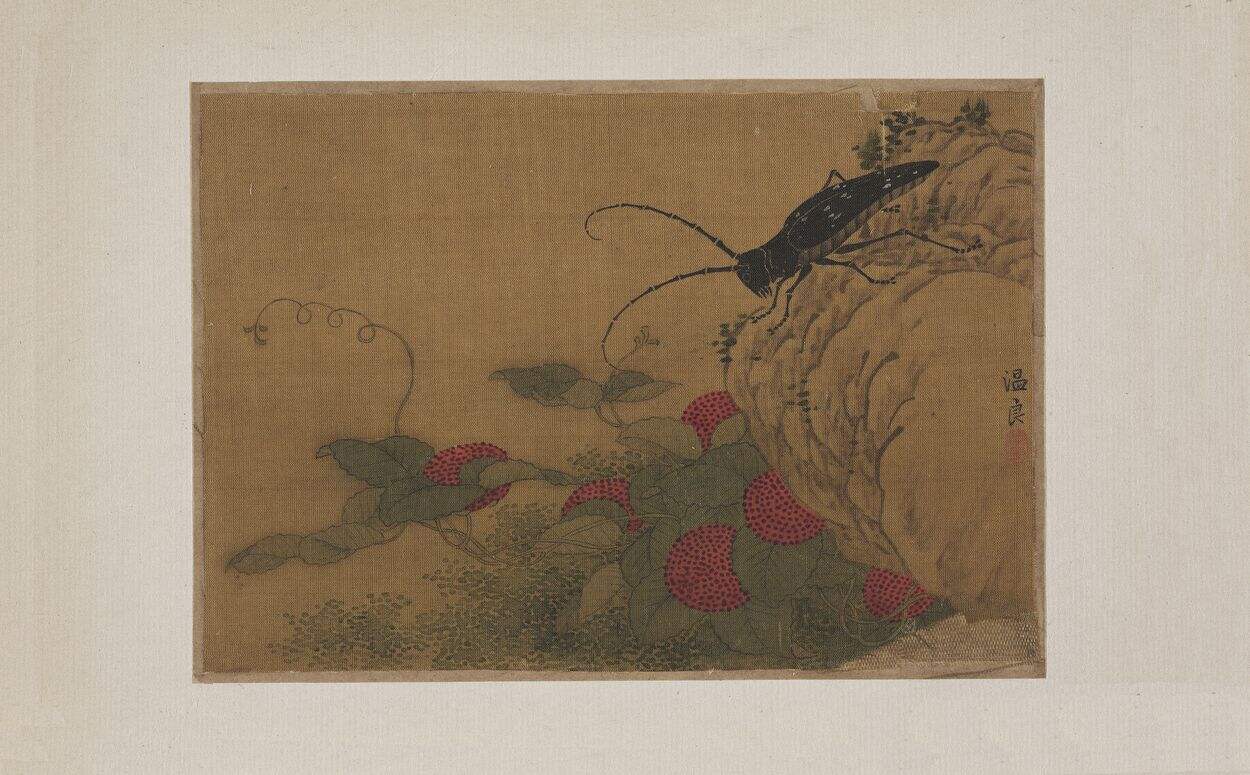 草虫页缩略图