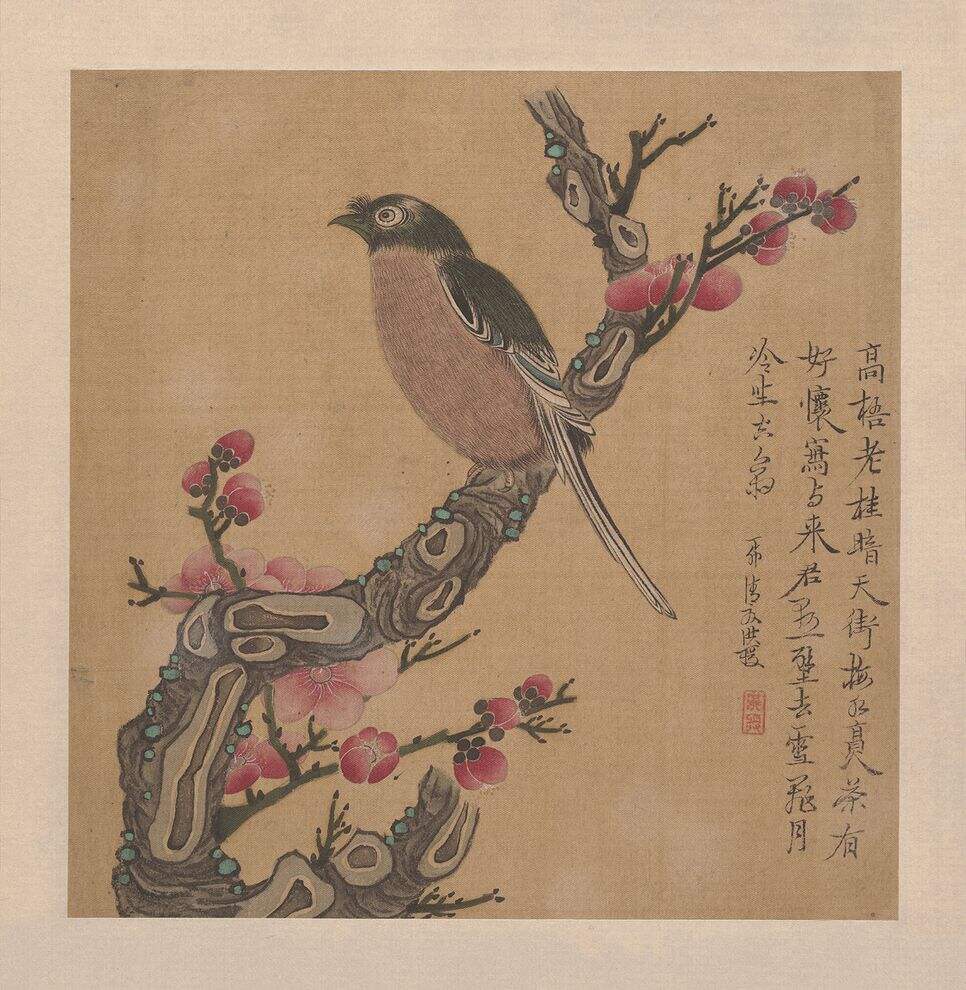 梅花小鸟缩略图