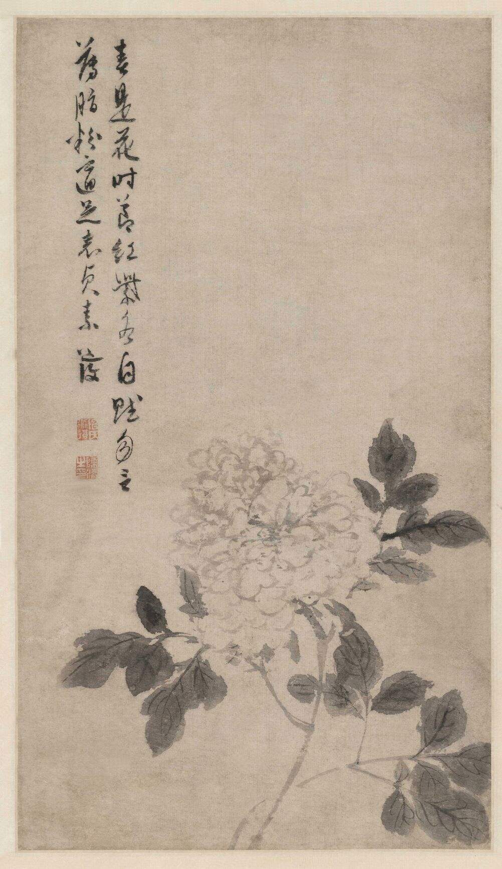 牡丹花卉图缩略图
