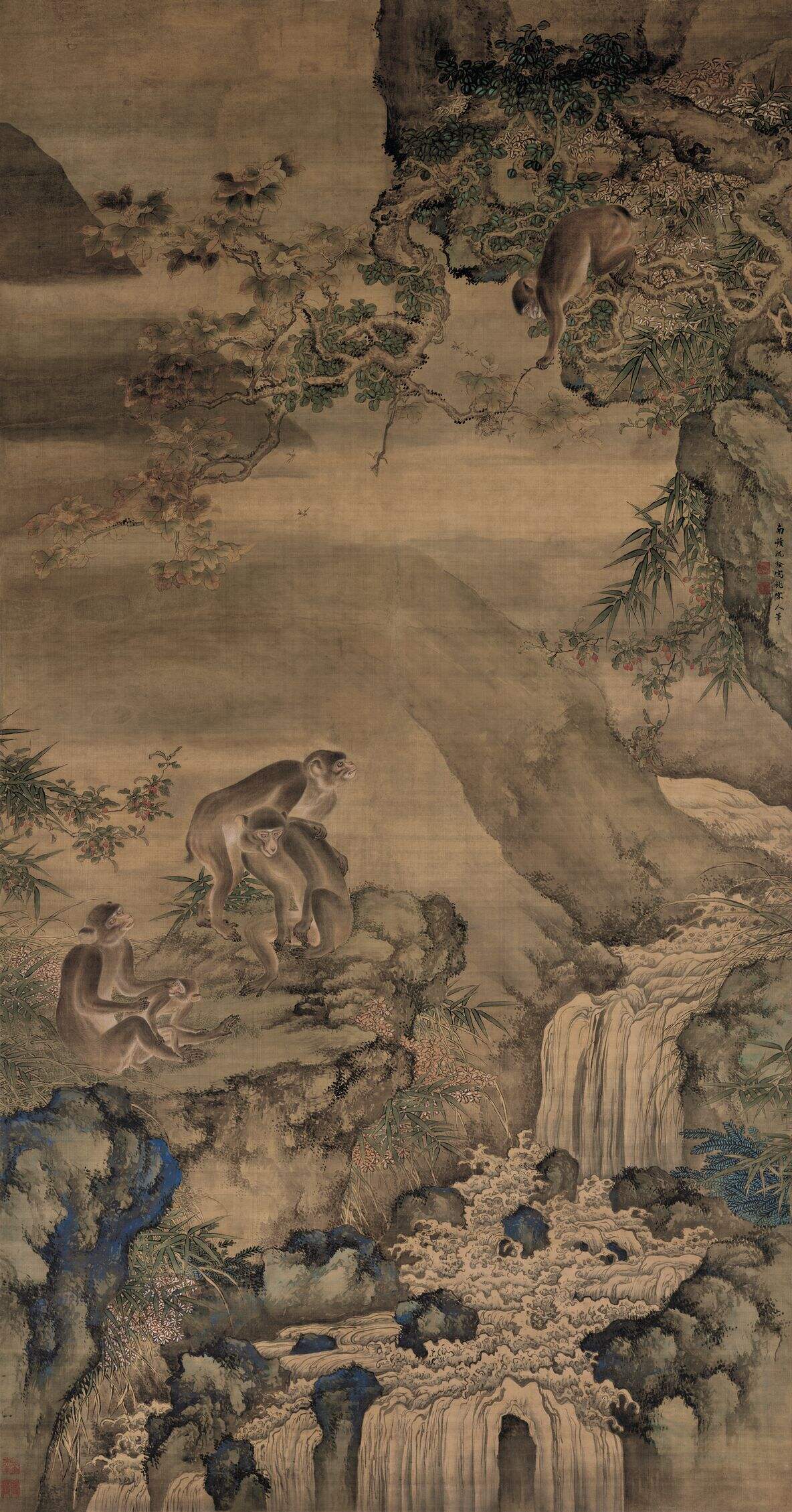 蜂猴图缩略图