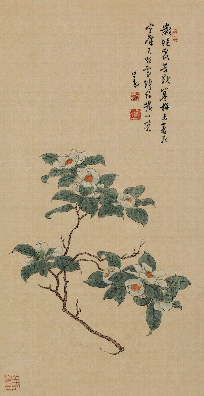 山茶图缩略图