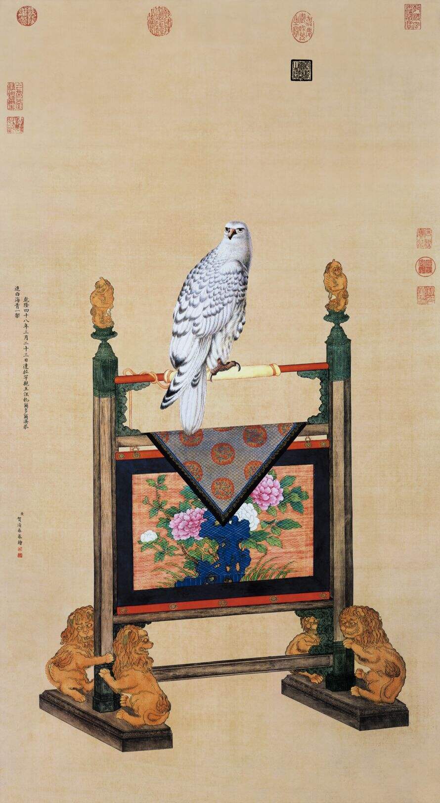 白海青缩略图