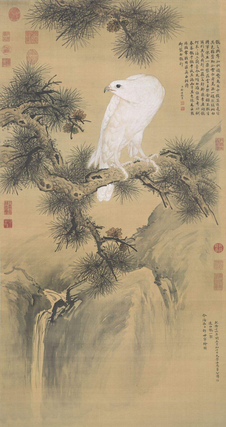 白鹘图缩略图