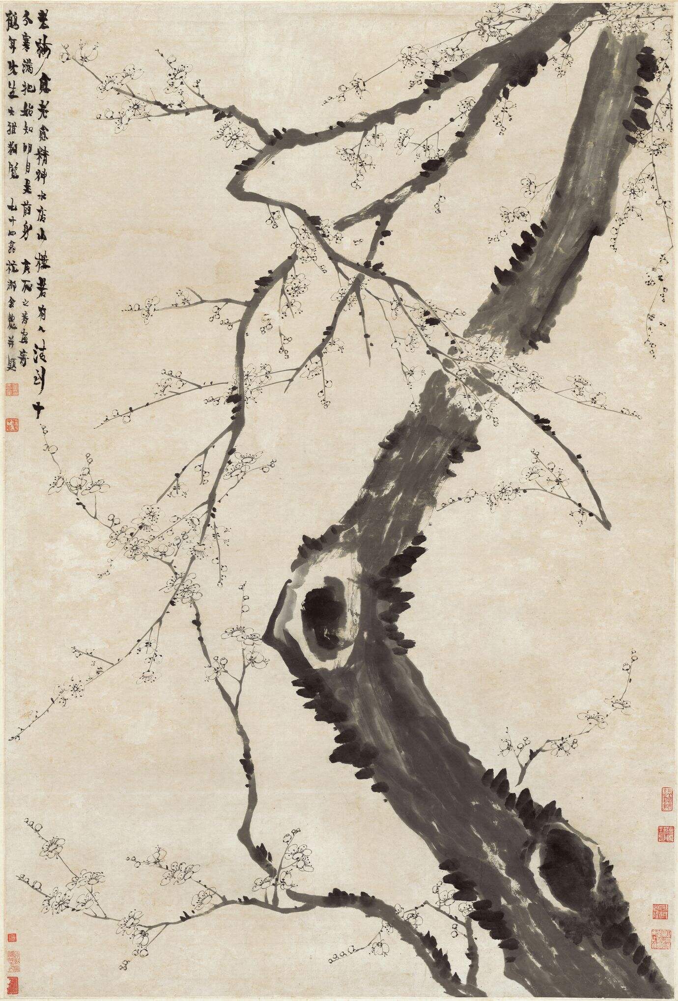 梅花图缩略图