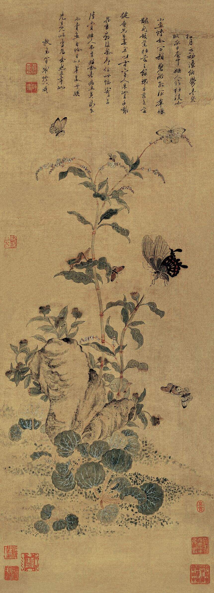 花蝴蝶图缩略图