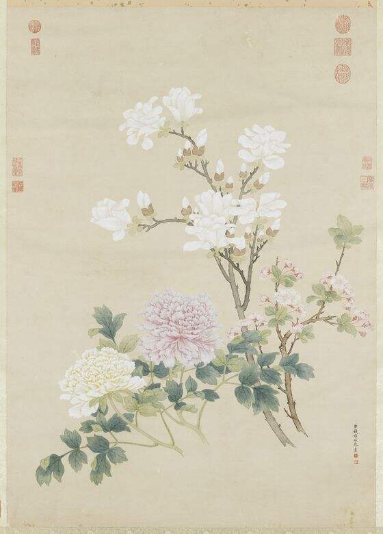 春花三种图缩略图