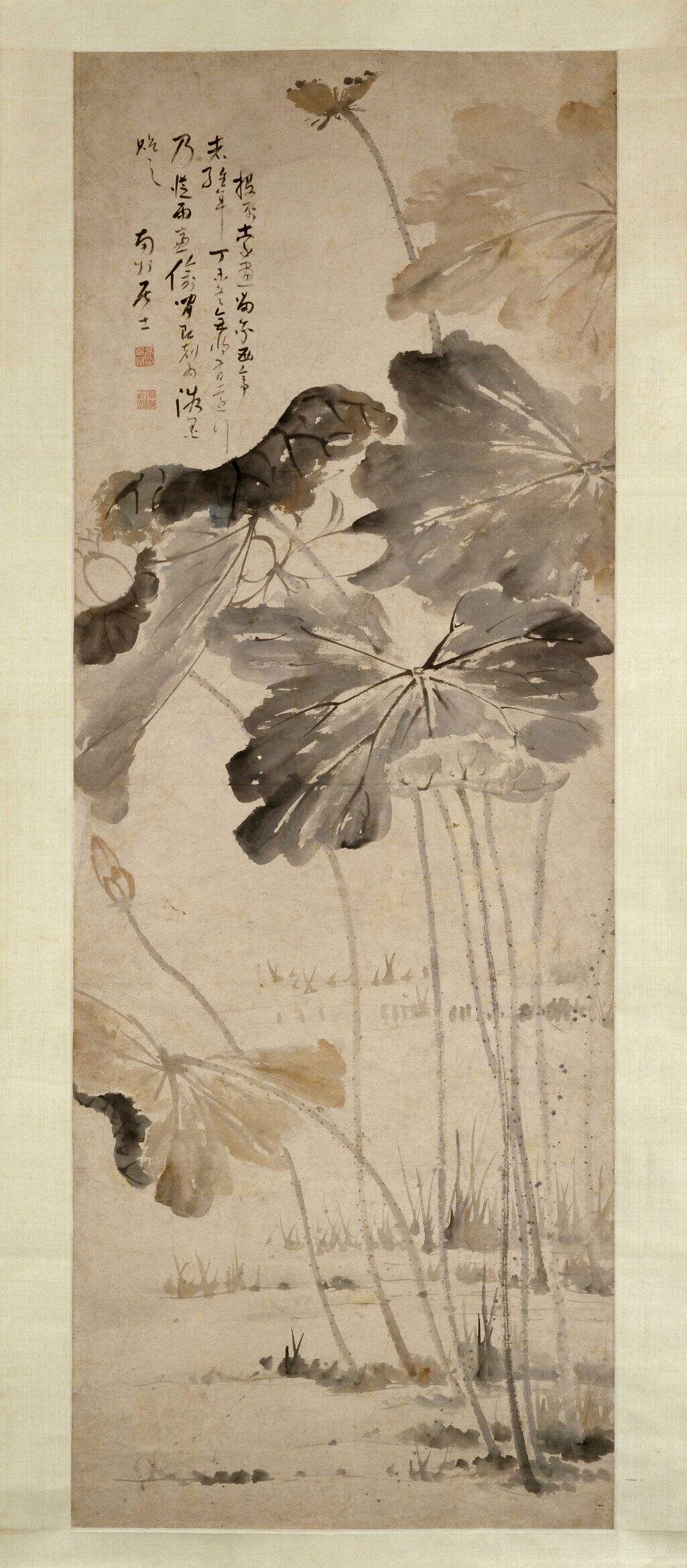 荷花图缩略图