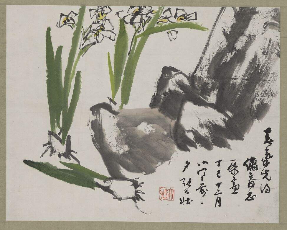 水仙花缩略图