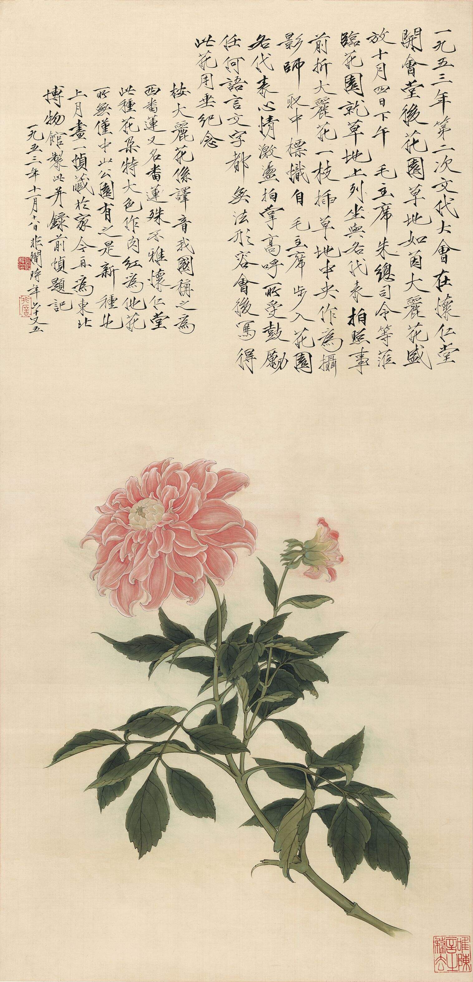大丽花缩略图