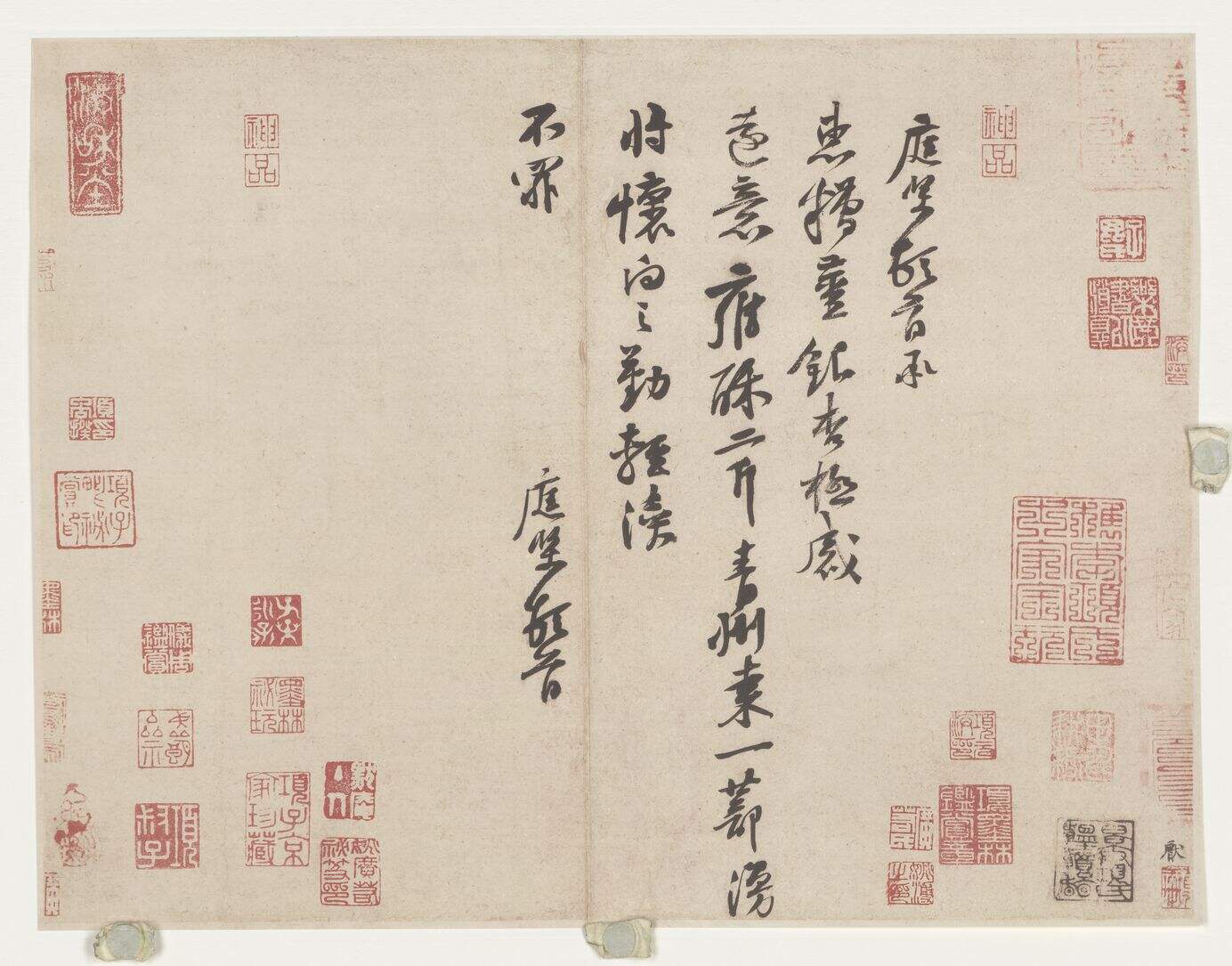 糟姜帖缩略图