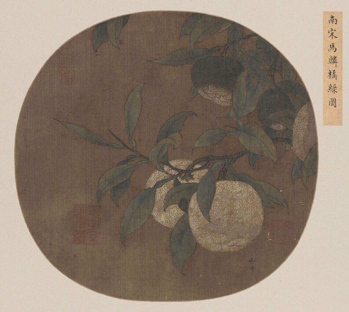 橘绿图缩略图