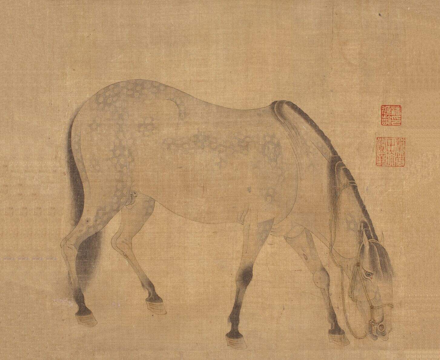马图缩略图