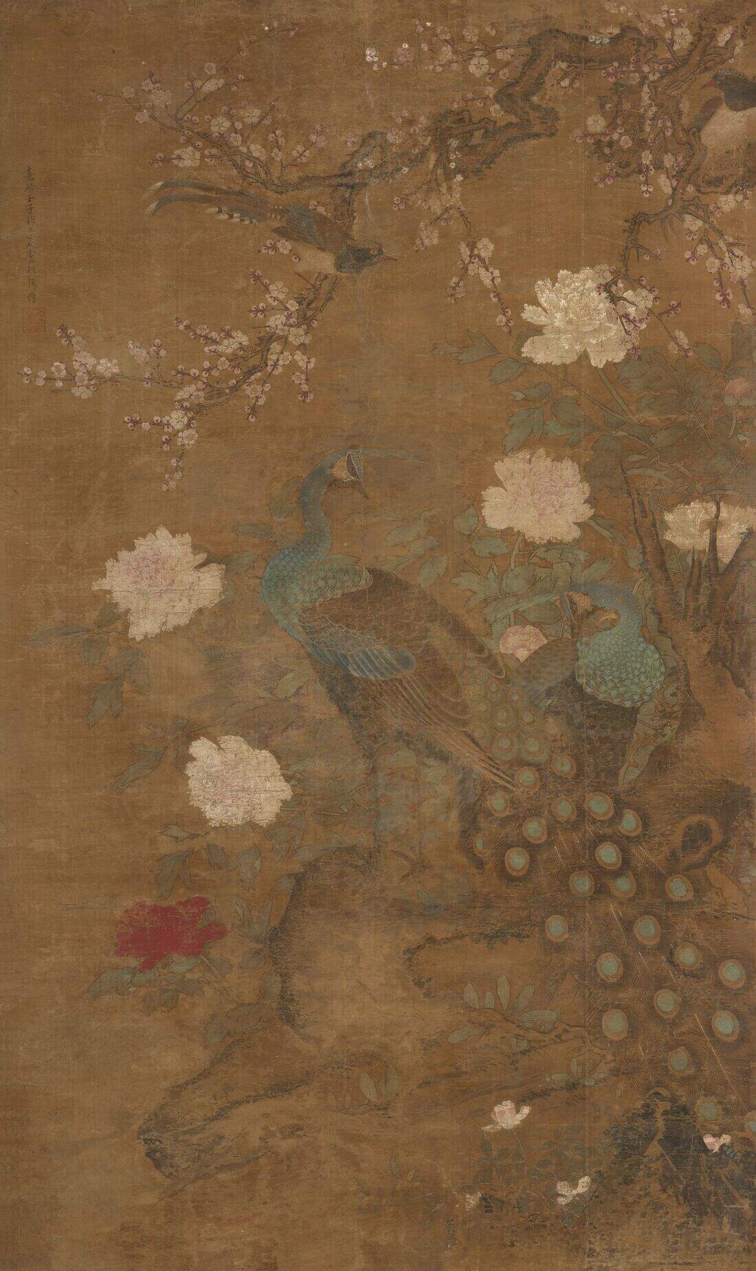 孔雀图缩略图