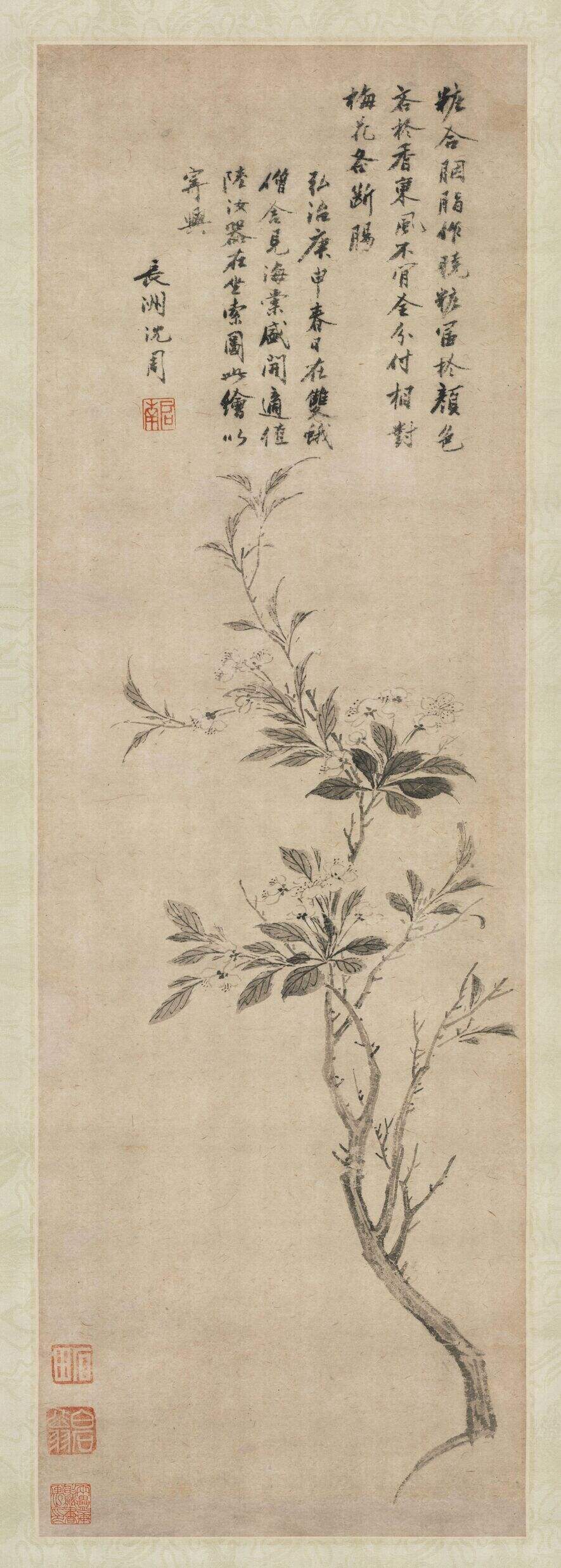海棠花封面