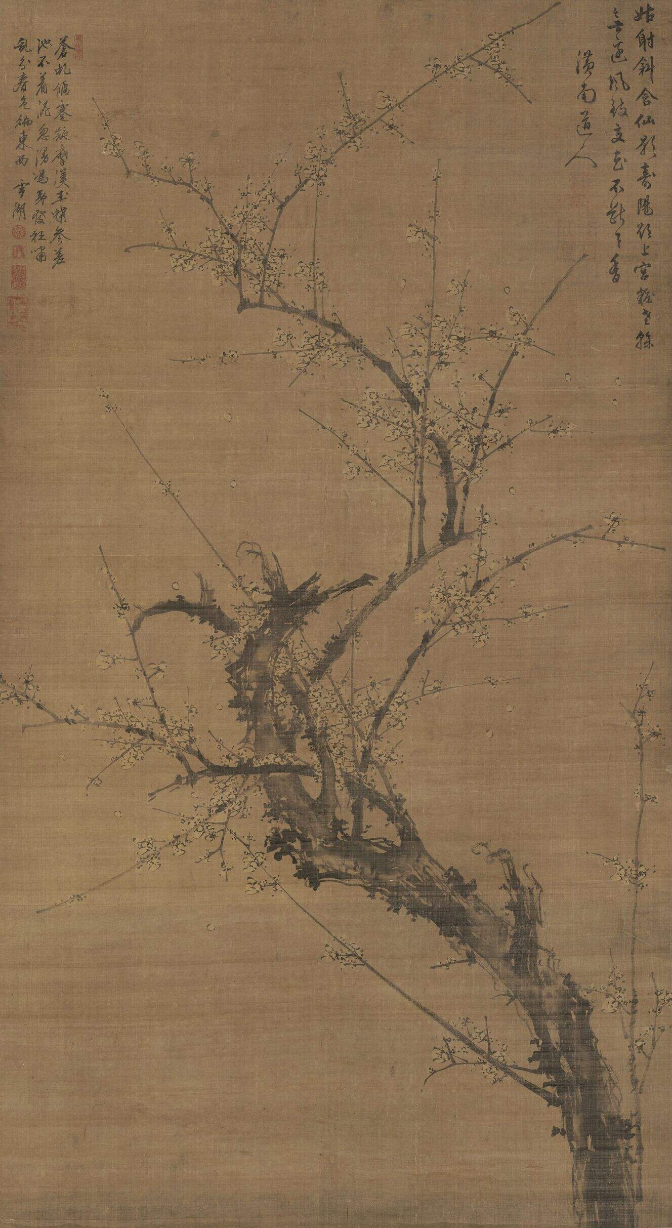 墨梅图缩略图