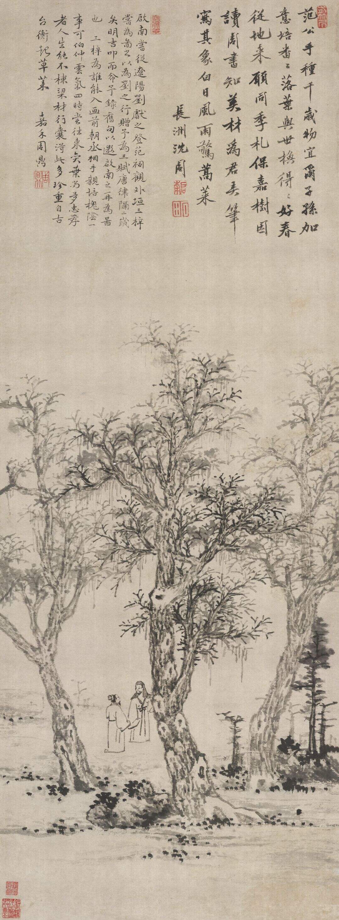 三梓图缩略图