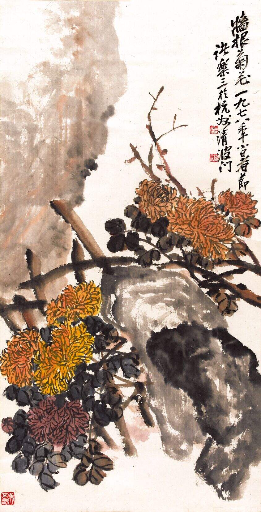 墙根菊花图缩略图