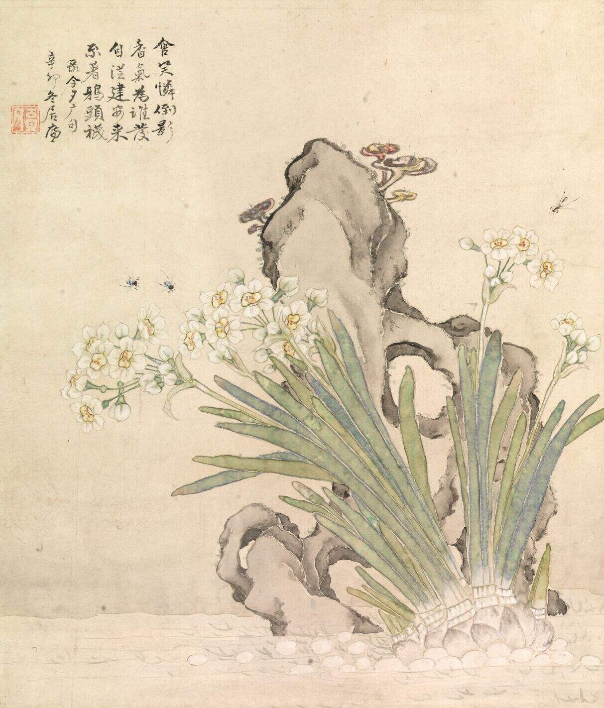 水仙山石图页缩略图