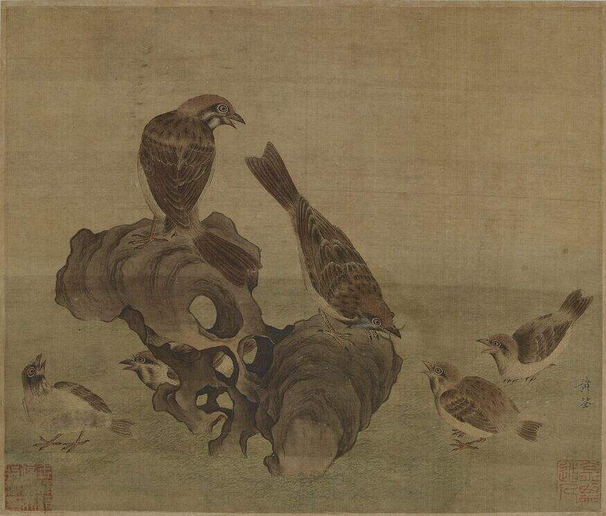 麻雀育雏图页缩略图