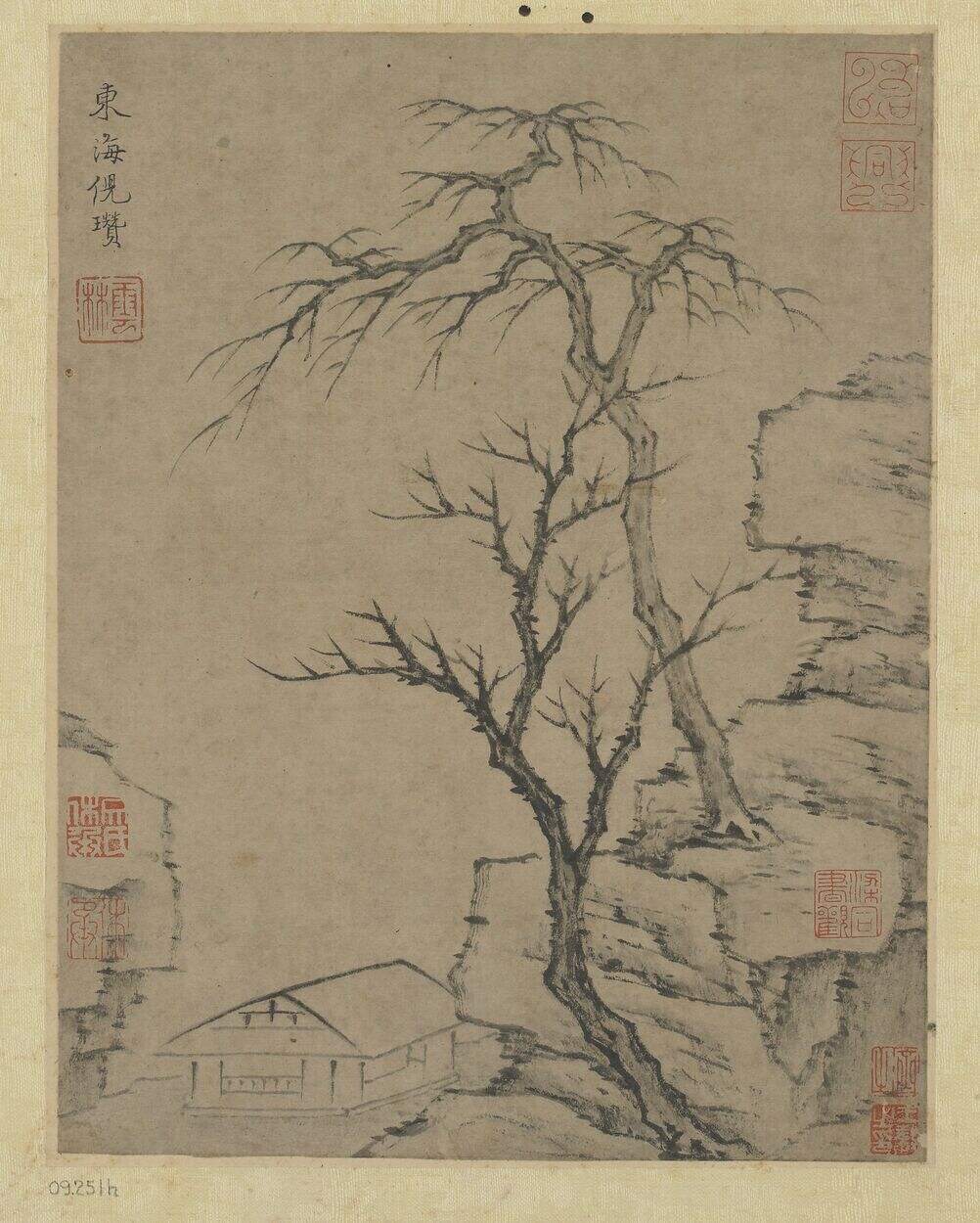枯树图页缩略图