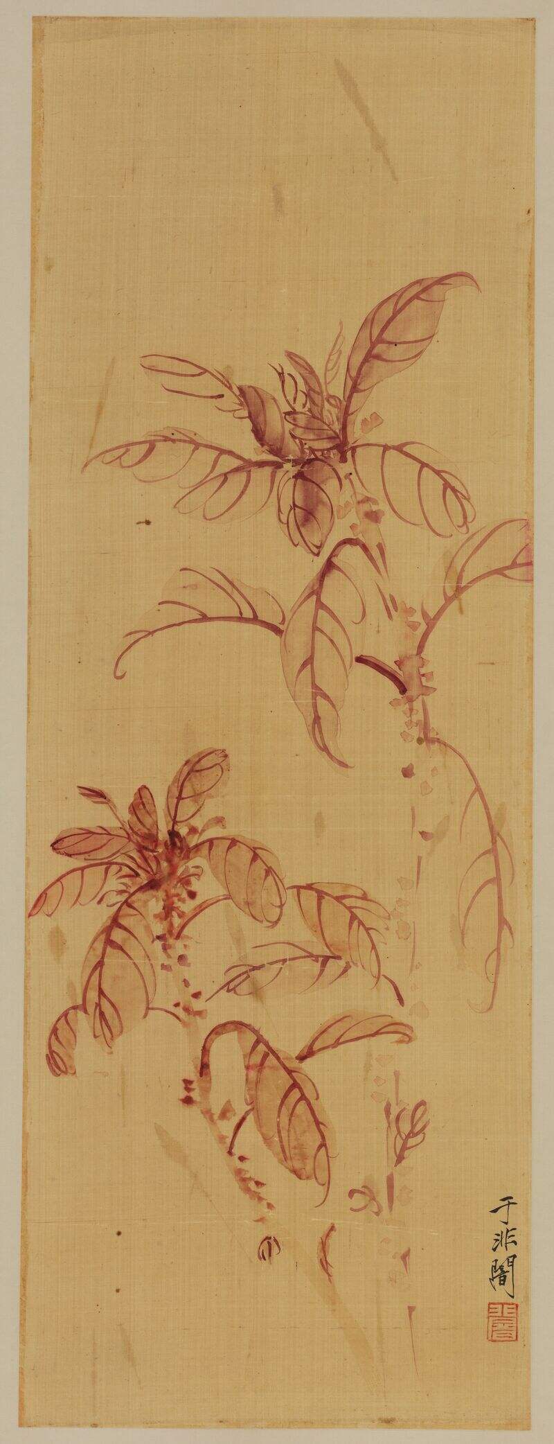 花卉图缩略图
