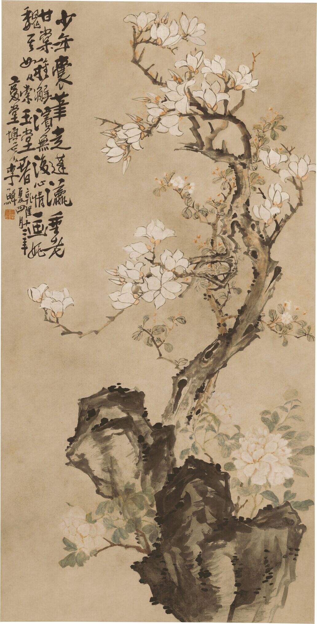 玉兰牡丹图缩略图